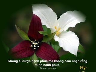 Không ai được hạnh phúc mà không cảm nhận rằng
mình hạnh phúc.
Marcus Aurelius Hy-
 