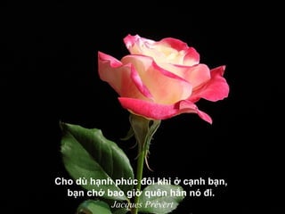 Cho dù hạnh phúc đôi khi ở cạnh bạn,
bạn chớ bao giờ quên hẳn nó đi.
Jacques Prévert
 