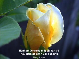 Hạnh phúc trước mắt chỉ tan vỡ
nếu đem so sánh với quá khứ
Doug Horton
 