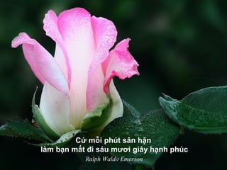 Cứ mỗi phút sân hận
làm bạn mất đi sáu mươi giây hạnh phúc
Ralph Waldo Emerson
 