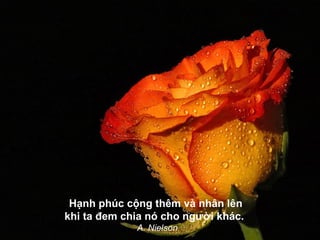 Hạnh phúc cộng thêm và nhân lên
khi ta đem chia nó cho người khác.
A. Nielson
 