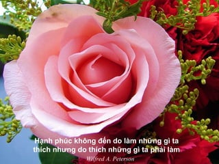 Hạnh phúc không đến do làm những gì ta
thích nhưng do thích những gì ta phải làm
Wilfred A. Peterson
 