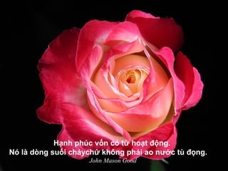 Hạnh phúc vốn có từ hoạt động.
Nó là dòng suối chảychứ không phải ao nước tù đọng.
John Mason Good
 