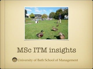 MSc ITM insights ,[object Object]