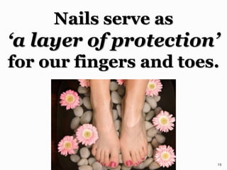 Nails serve as
‘a layer of protection’
for our fingers and toes.
10
