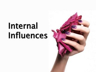 26
Internal
Influences