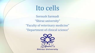 Ito cells
Soroush Sarmadi
“Shiraz university”
“Faculty of veterinary medicine”
“Department of clinical science”
 