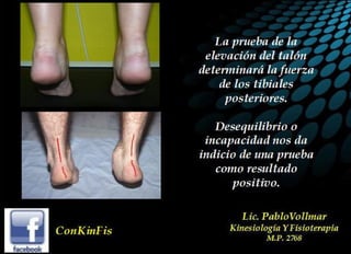 Insuficiencia Tibial Posterior