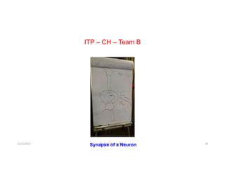 ITP – CH – Team B
12/12/2017 Dr. Syed Ahmed Owais 28
Synapse of a Neuron
 