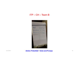 ITP – CH – Team B
12/12/2017 Dr. Syed Ahmed Owais 29Action Potential – Ions and Pumps
 