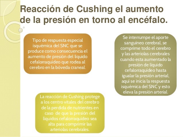 Imagen relacionada