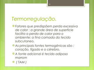 Termorregulação.
 Fatores que predispõem perda excessiva
de calor : a grande área de superficie
facilita a perda de calor para o
ambiente; a fina camada do tecido
subcutaneo.
 As principais fontes termogênicas são :
coração, fígado e o cérebro.
 A fonte adcional é tecido adiposo
marrom
 ( TAM )
10
 