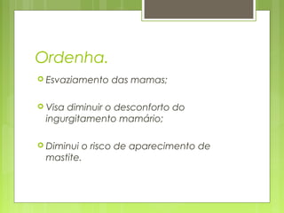 Ordenha.
 Esvaziamento das mamas;
 Visa diminuir o desconforto do
ingurgitamento mamário;
 Diminui o risco de aparecimento de
mastite.
 