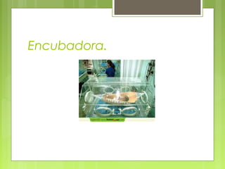 Encubadora.
 
