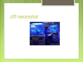 UTI neonatal
 