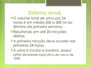 Sistema renal.
O volume total de urina por 24
horas é em média 200 a 300 ml ao
término da primeira semana.
Resultando em até 20 micções
diárias.
A primeira micção deve ocorrer nas
primeiras 24 horas.
A urina é incolor e inodora, possui
uma densidade específica de cerca de
1020.
17
 