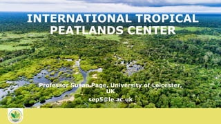 INTERNATIONAL TROPICAL
PEATLANDS CENTER
Professor Susan Page, University of Leicester,
UK
sep5@le.ac.uk
 