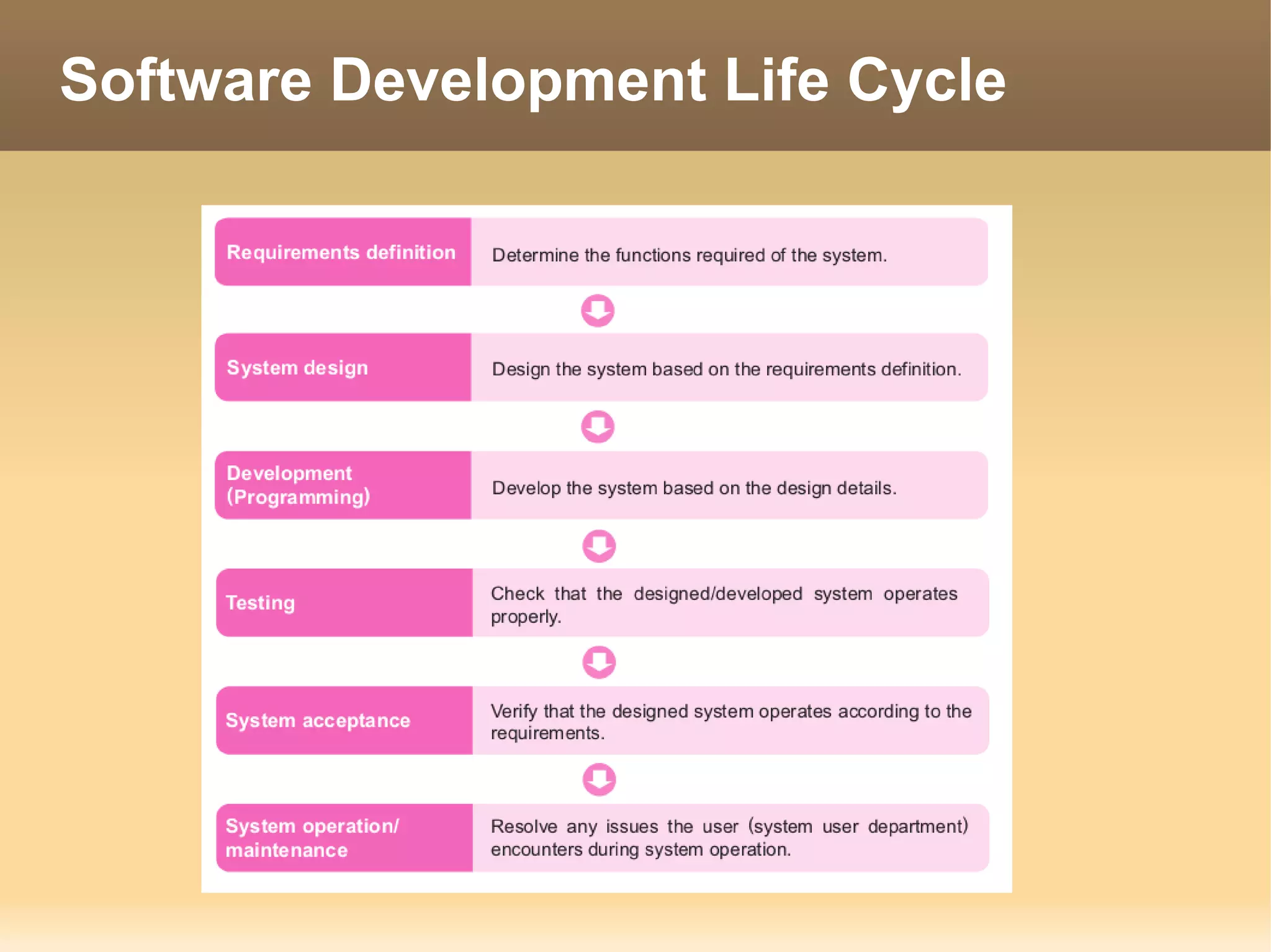 Software Development Life Cycle
 
