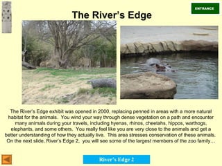The River’s Edge
The River’s Edge exhibit was opened in 2000, replacing penned in areas with a more natural
habitat for the animals. You wind your way through dense vegetation on a path and encounter
many animals during your travels, including hyenas, rhinos, cheetahs, hippos, warthogs,
elephants, and some others. You really feel like you are very close to the animals and get a
better understanding of how they actually live. This area stresses conservation of these animals.
On the next slide, River’s Edge 2, you will see some of the largest members of the zoo family…
ENTRANCE
River’s Edge 2
 