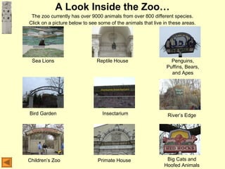 A Look Inside the Zoo…
The zoo currently has over 9000 animals from over 800 different species.
Click on a picture below to see some of the animals that live in these areas.
Sea Lions
Bird Garden
Children’s Zoo
Insectarium
Reptile House
Primate House
Penguins,
Puffins, Bears,
and Apes
River’s Edge
Big Cats and
Hoofed Animals
 
