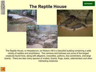 The Reptile House
The Reptile House, or Herpetarium, on Historic Hill is a beautiful building containing a wide
variety of reptiles and amphibians. The caimans and tortoises are some of the largest
creatures found here, along with alligators, crocodiles, pythons, boa constrictors, and large
lizards. There are also many species of snakes, lizards, frogs, toads, salamanders and other
interesting creatures.
ENTRANCE
 