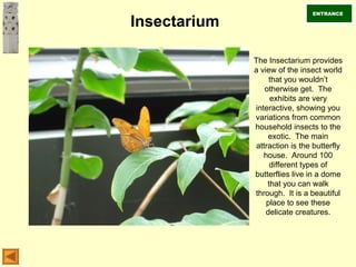 Insectarium
The Insectarium provides
a view of the insect world
that you wouldn’t
otherwise get. The
exhibits are very
interactive, showing you
variations from common
household insects to the
exotic. The main
attraction is the butterfly
house. Around 100
different types of
butterflies live in a dome
that you can walk
through. It is a beautiful
place to see these
delicate creatures.
ENTRANCE
 