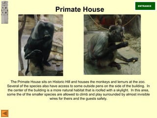 Primate House
The Primate House sits on Historic Hill and houses the monkeys and lemurs at the zoo.
Several of the species also have access to some outside pens on the side of the building. In
the center of the building is a more natural habitat that is roofed with a skylight. In this area,
some the of the smaller species are allowed to climb and play surrounded by almost invisible
wires for theirs and the guests safety.
ENTRANCE
 