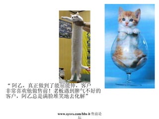 “ 阿乙，真正做到了能屈能伸，客户 非常喜欢他做售前！老板遇到脾气不好的 客户，阿乙总是满脸堆笑地去化解” 