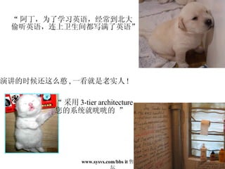 “ 阿丁，为了学习英语，经常到北大 偷听英语，连上卫生间都写满了英语” 演讲的时候还这么憨 , 一看就是老实人 ! “ 采用 3-tier architecture  您的系统就咣咣的 ” 