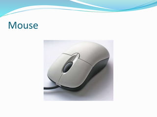 Mouse
 