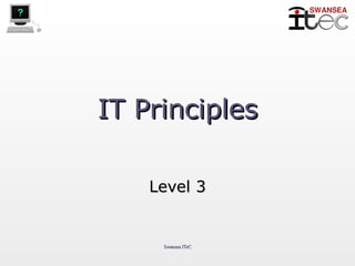 IT Principles Level 3 