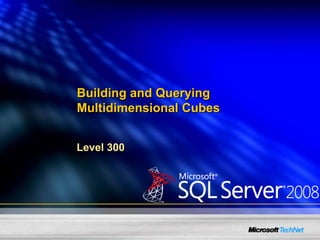 Bi For It Professionals Part 3   Building And Querying Multidimensional Cubes