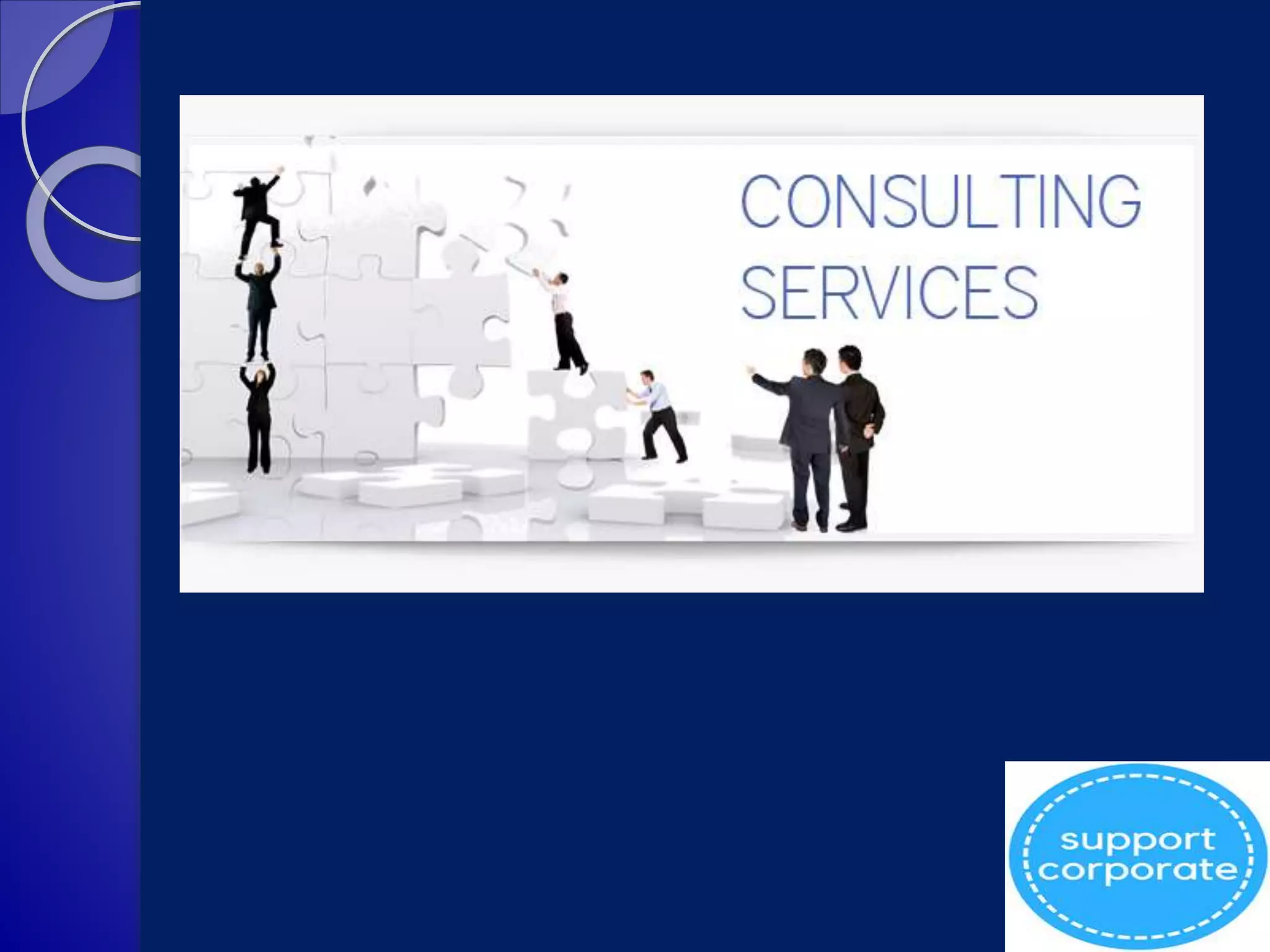 It project consultancy services