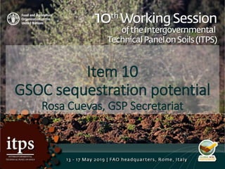 Item 10
GSOC sequestration potential
Rosa Cuevas, GSP Secretariat
 