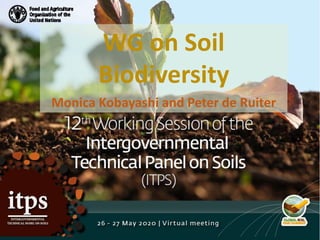 Monica Kobayashi and Peter de Ruiter
WG on Soil
Biodiversity
 