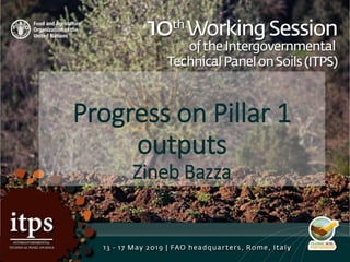 Progress on Pillar 1
outputs
Zineb Bazza
 