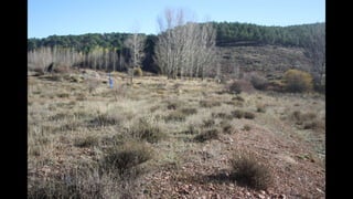 I TRAIL PIE DEL HOMBRE