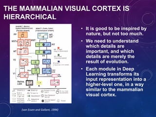 THE MAMMALIAN VISUAL CORTEX IS
HIERARCHICAL
• It is good to be inspired by
nature, but not too much.
• We need to understand
which details are
important, and which
details are merely the
result of evolution.
• Each module in Deep
Learning transforms its
input representation into a
higher-level one, in a way
similar to the mammalian
visual cortex.
(van Essen and Gallant, 1994)
 