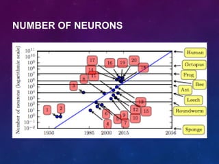 NUMBER OF NEURONS
 