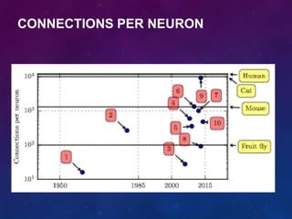 CONNECTIONS PER NEURON
 