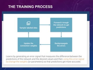 THE TRAINING PROCESS
 