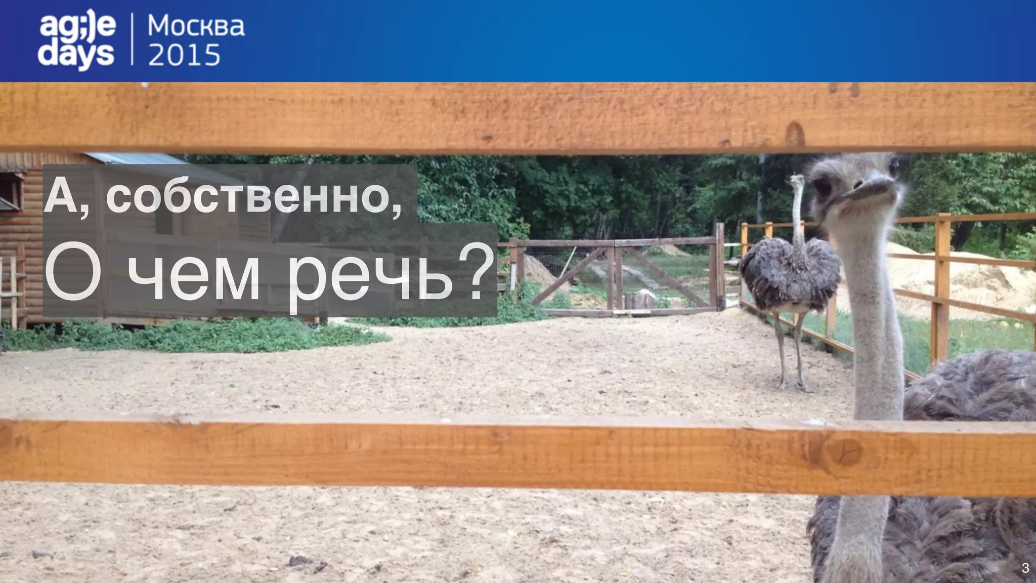 3
А, собственно,
О чем речь?
 