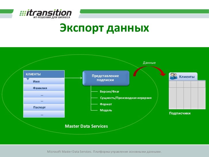 Microsoft Master Data Services Master Data Management Tool