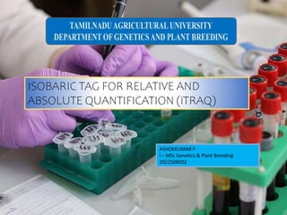ISOBARIC TAG FOR RELATIVE AND
ABSOLUTE QUANTIFICATION (iTRAQ)
ASHOKKUMAR P
I – MSc Genetics & Plant Breeding
2022508002
 
