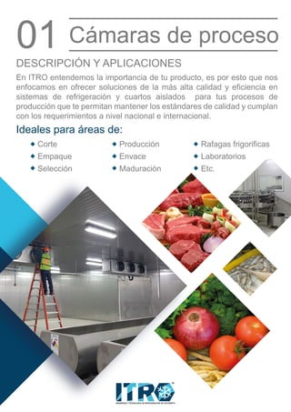 En ITRO entendemos la importancia de tu producto, es por esto que nos
enfocamos en ofrecer soluciones de la más alta calidad y eficiencia en
sistemas de refrigeración y cuartos aislados para tus procesos de
producción que te permitan mantener los estándares de calidad y cumplan
con los requerimientos a nivel nacional e internacional.
Corte
Empaque
Selección
Producción
Envace
Maduración
Rafagas frigorificas
Laboratorios
Etc.
DESCRIPCIÓN Y APLICACIONES
Ideales para áreas de:
01 Cámaras de proceso
INGENIERIA Y TECNOLOGIA EN REFRIGERACION DE OCCIDENTE
MR
 
