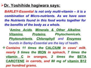 “ Amino Acids ,  Minerals & Other Alkaline ,  Vitamins ,  Proteins ,  Phytochemicals ,  Phytonutrients ,  Chlorophyll   and  Enzymes   founds in Barley-Essential are the key of health.  Dr. Yoshihide hagiwara says: BARLEY-Essential   is not only multi-vitamin – it is a combination of Micro-nutrients. As we have seen the Nutrients found in this food works together for the benefits of the body as a whole. Contains  11 times the   CALCIUM   in cows' milk ,  nearly  5 times the   IRON   in spinach,  7 times the  vitamin C   in oranges,  2 times the   BETA CAROTENE   in carrots, and  80 mg of   vitamin B12   per hundred grams.  