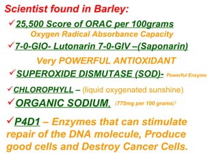 Scientist found in Barley: 25,500 Score of ORAC per 100grams   Oxygen Radical Absorbance Capacity Very POWERFUL ANTIOXIDANT 7-0-GIO- Lutonarin 7-0-GIV –(Saponarin) SUPEROXIDE DISMUTASE (SOD)-   Powerful Enzyme CHLOROPHYLL  –  (liquid oxygenated sunshine)  ORGANIC SODIUM , ( 775mg per 100 grams )! P4D1   – Enzymes that can stimulate  repair of the DNA molecule, Produce  good cells and Destroy Cancer Cells. 