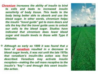 Chromium  increases the ability of insulin to bind to cells and leads to increased insulin sensitivity of body tissue. This leads to the body being better able to absorb and use the blood sugar. In other words, chromium helps the insulin “travel guide” get to more doors and oils the key that the travel guide uses to unlock our cells to the blood sugar. Studies have indicated that chromium does lower blood sugar and insulin levels in those with Type II diabetes. Although as early as 1899 it was found that a form of  vanadium  resulted in a decrease in blood sugar levels, it was not until the late 1970s that vanadium’s insulin-like action was first described. Vanadium may activate insulin receptors—making the cell more receptive to the insulin’s “key”—and through this exert insulin-like action. 