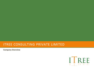 ITREE CONSULTING PRIVATE LIMITED
Company Overview
 