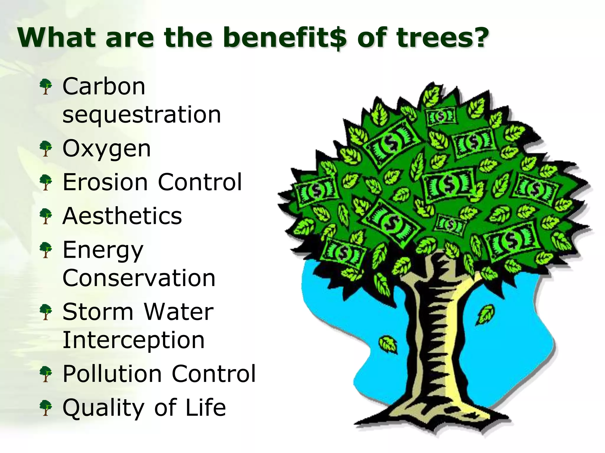 What are the benefit$ of trees?
Carbon
sequestration
Oxygen
Erosion Control
Aesthetics
Energy
Conservation
Storm Water
Interception
Pollution Control
Quality of Life
 